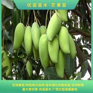 芒果如何切