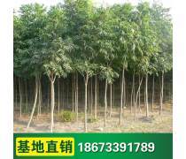 【豪杰紅木紅木荷花鎮(zhèn)紙筆筒筆洗三件套紅木商務(wù)禮品紅木筆筒筆洗鎮(zhèn)紙】海門(mén)市豪祥紅木工藝品廠 - 產(chǎn)品庫(kù)